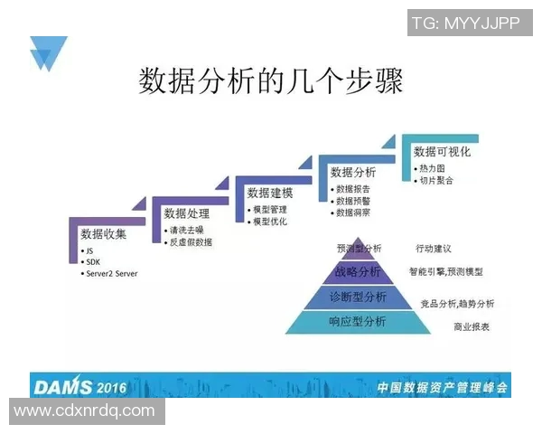 深入探讨RNG战队在比赛中的速度表现与数据分析结果实时数据